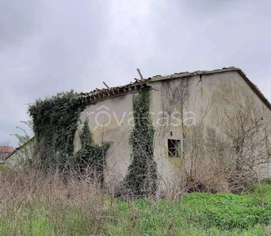 immagine annuncio 6 di 14