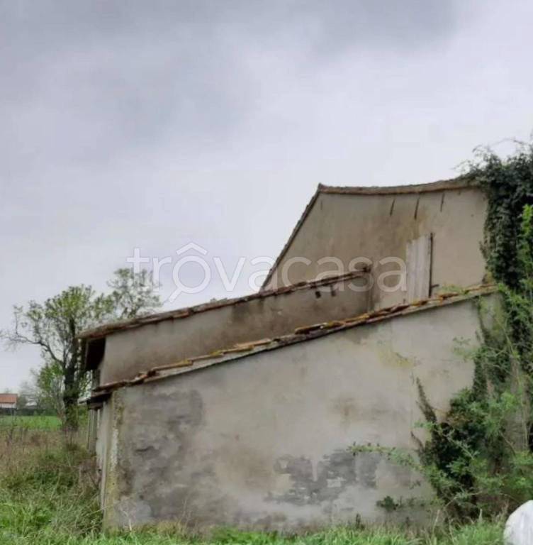 immagine annuncio 7 di 14