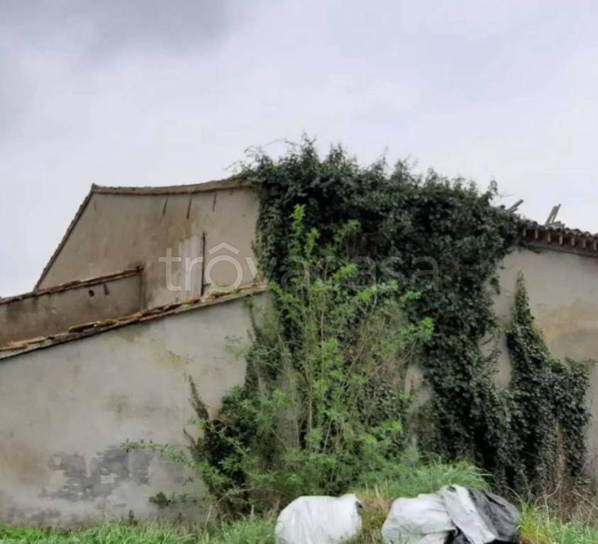 immagine annuncio 8 di 14