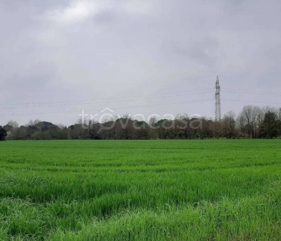 immagine annuncio 10 di 14