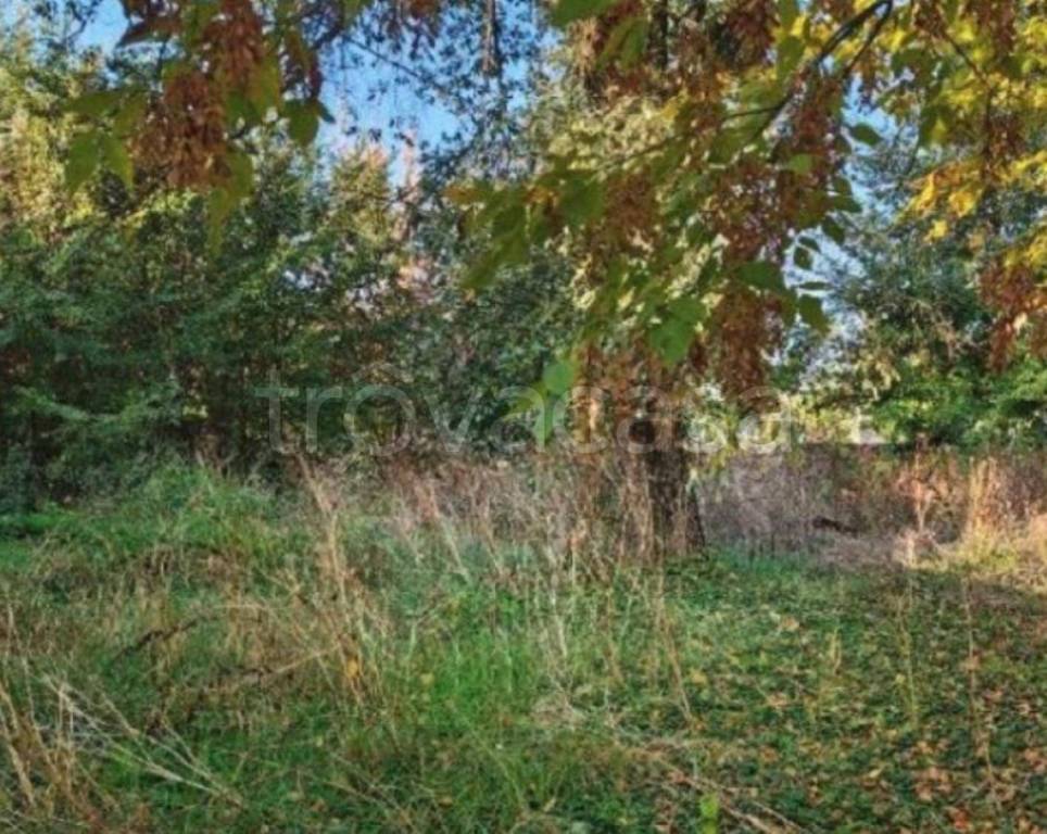 immagine annuncio 7 di 14