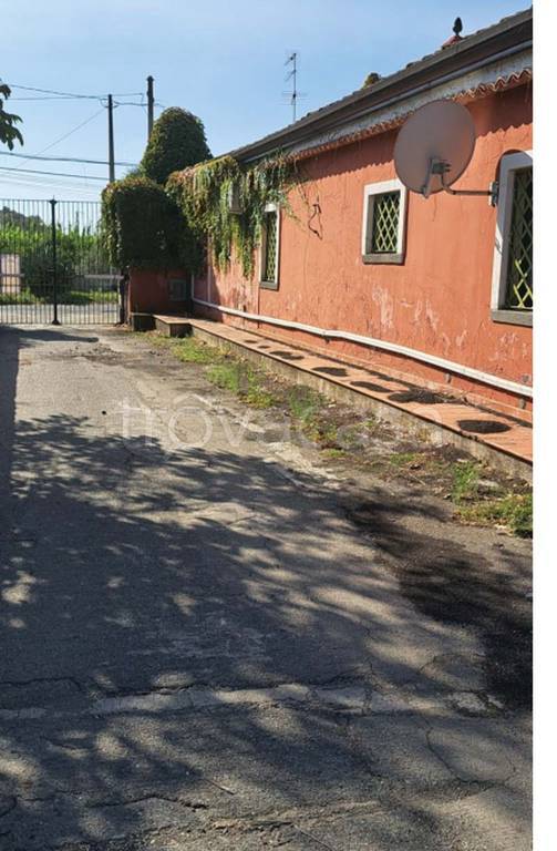 immagine annuncio 11 di 14