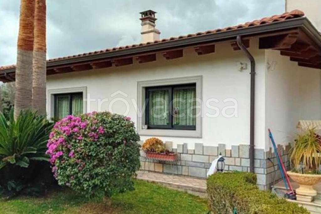 immagine annuncio 6 di 13