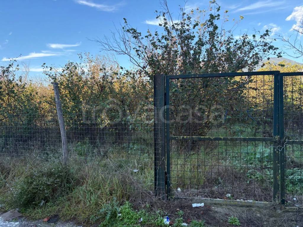 immagine annuncio 3 di 12