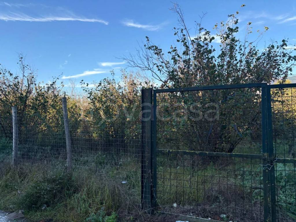 immagine annuncio 6 di 12