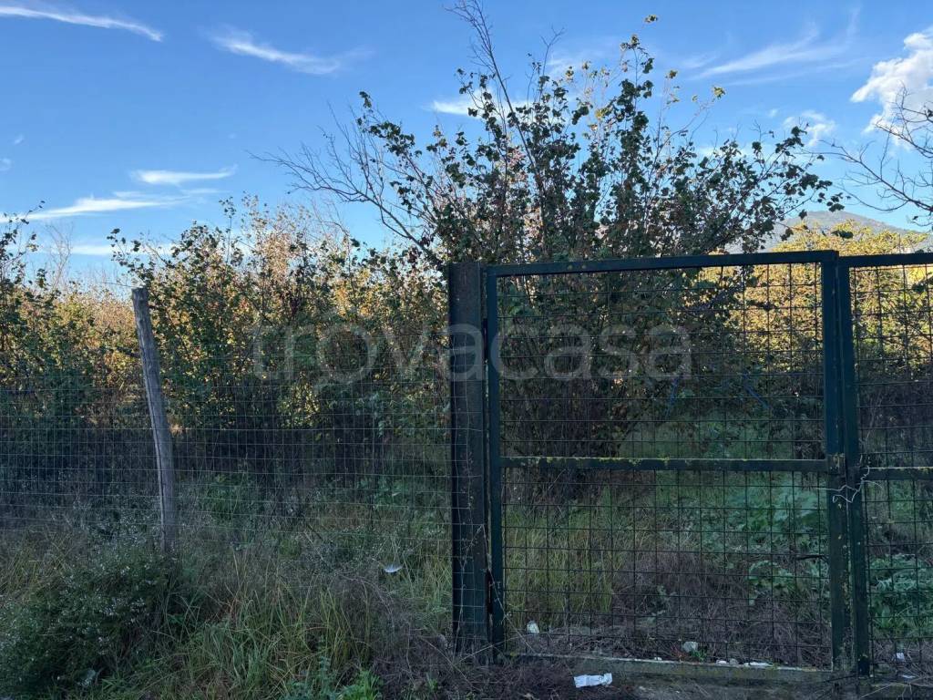 immagine annuncio 7 di 12