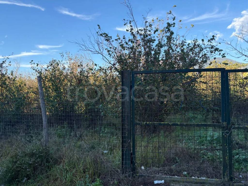 immagine annuncio 8 di 12