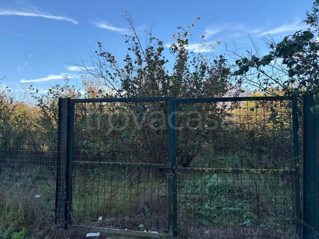 immagine annuncio 9 di 12