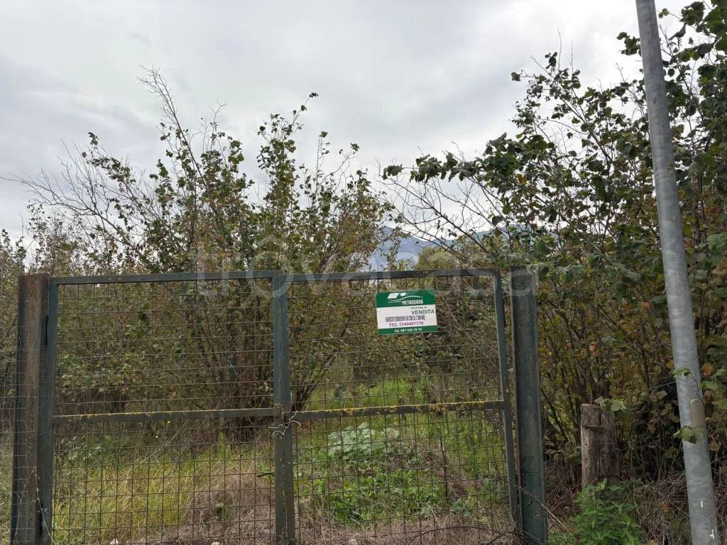 immagine annuncio 10 di 12