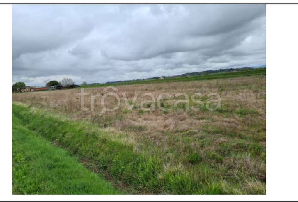 immagine annuncio 4 di 11