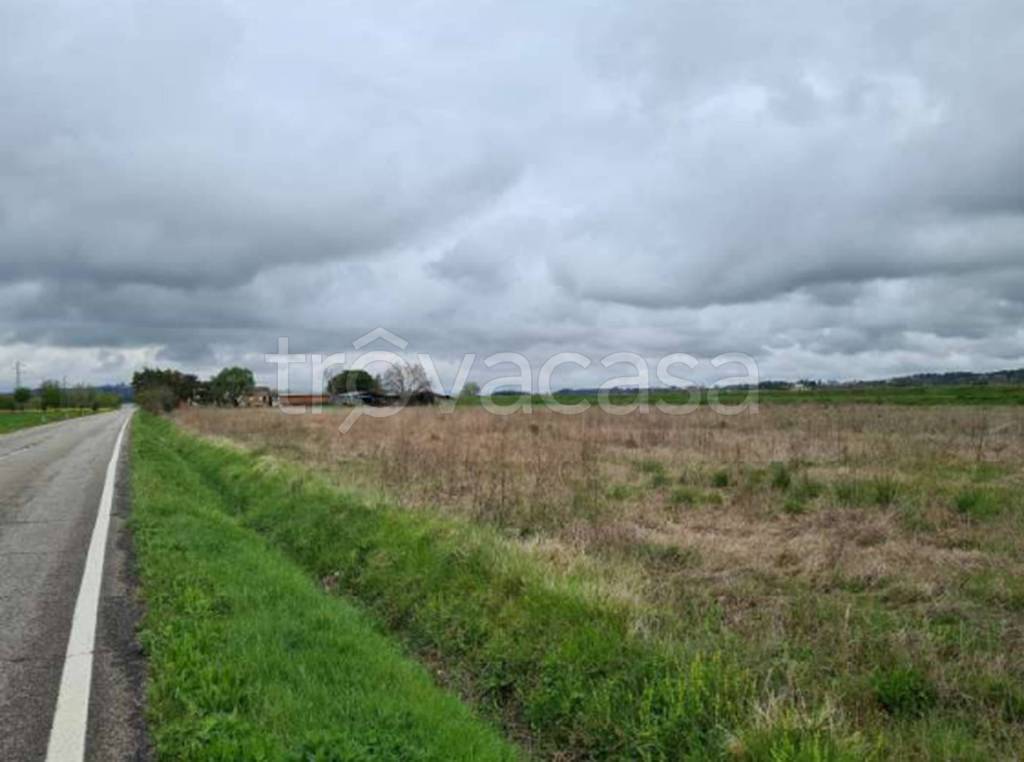 immagine annuncio 6 di 11