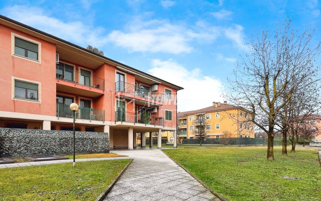 immagine annuncio 3 di 15