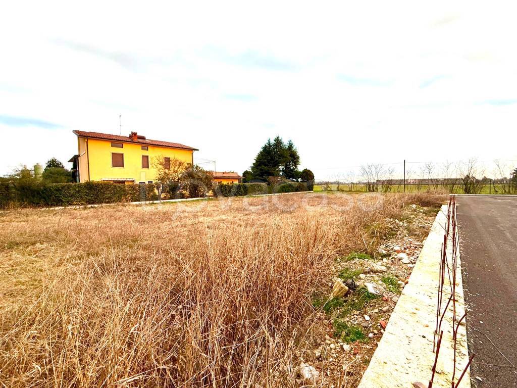 immagine annuncio 2 di 6