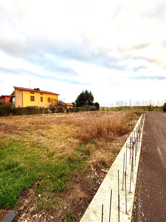 immagine annuncio 3 di 6