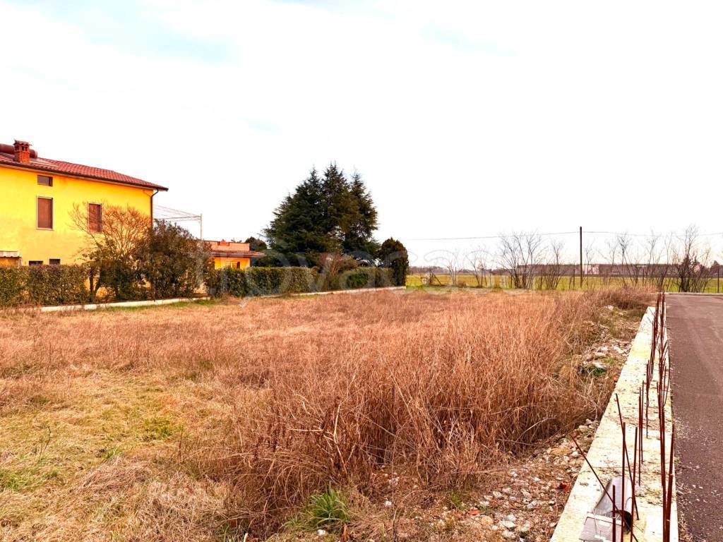 immagine annuncio 5 di 6