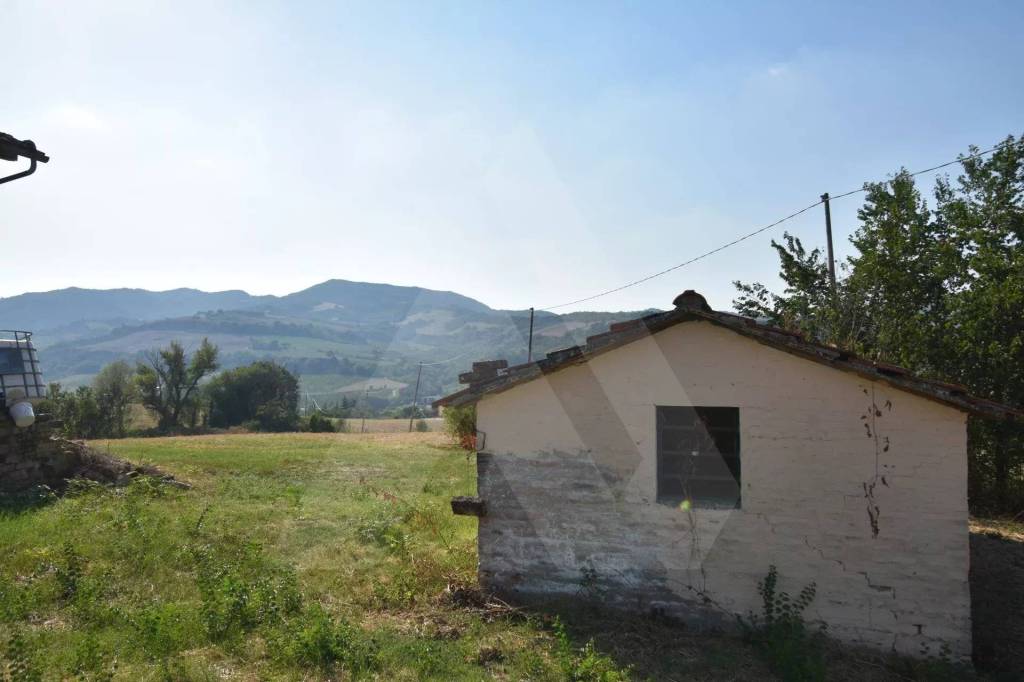 immagine annuncio 7 di 11