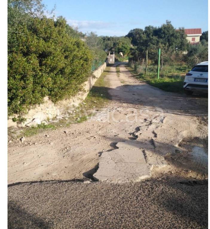 immagine annuncio 6 di 11