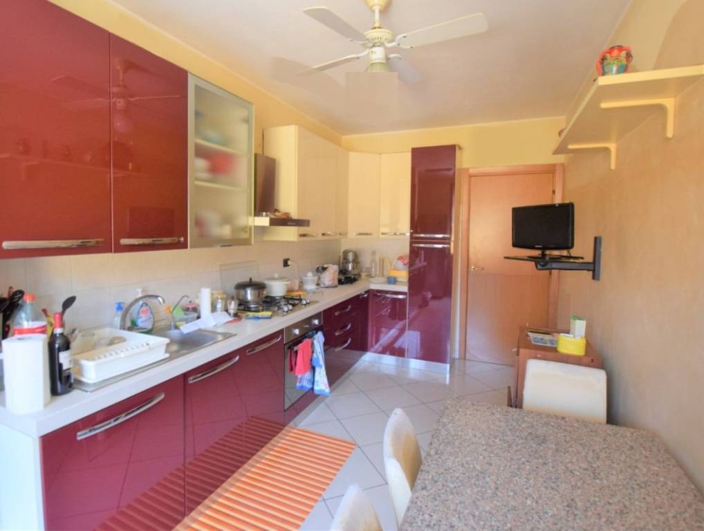 immagine annuncio 5 di 14