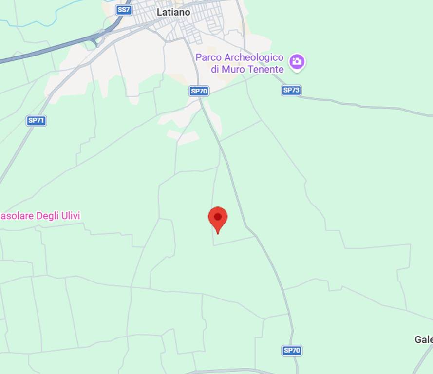 immagine annuncio 1 di 11