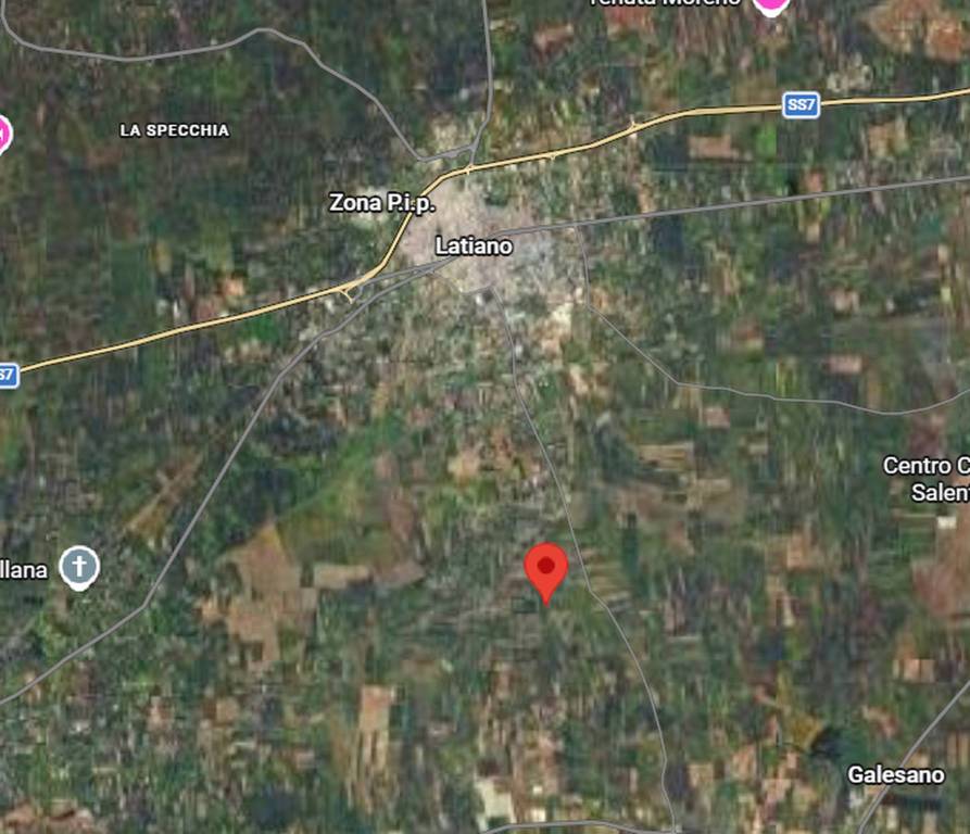 immagine annuncio 9 di 11