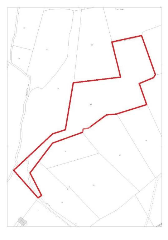 immagine annuncio 3 di 11