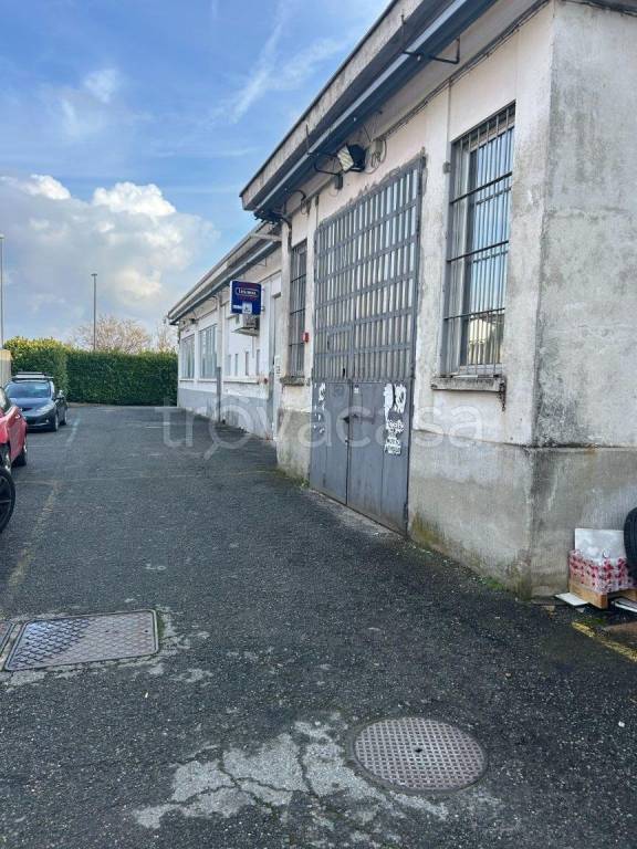 immagine annuncio 2 di 15