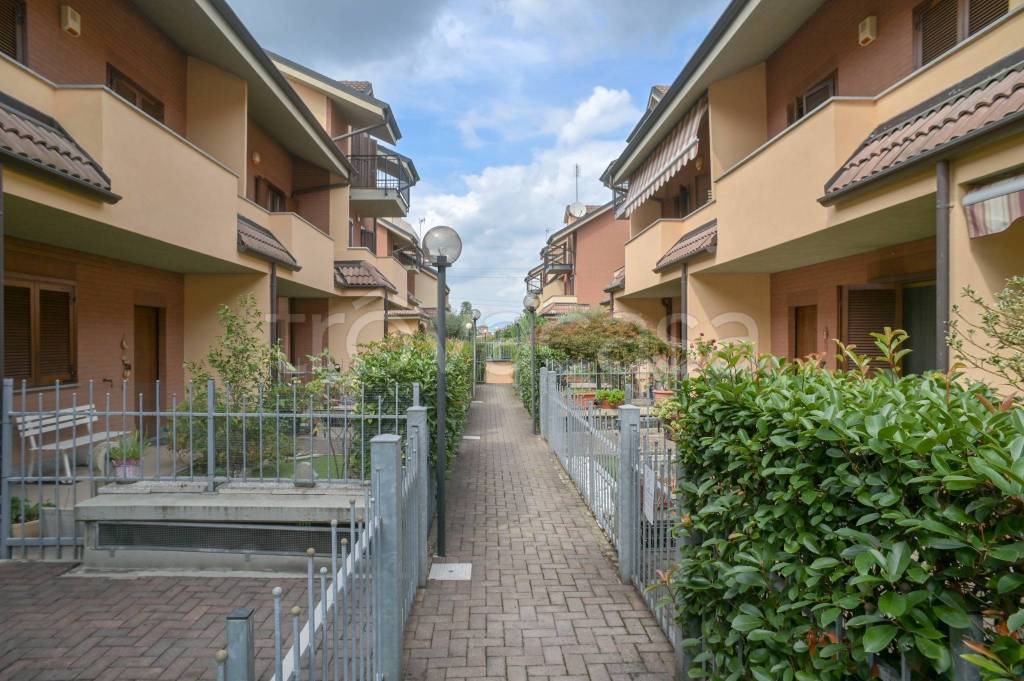 immagine annuncio 5 di 15