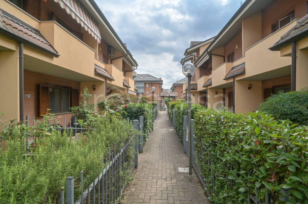 immagine annuncio 2 di 15