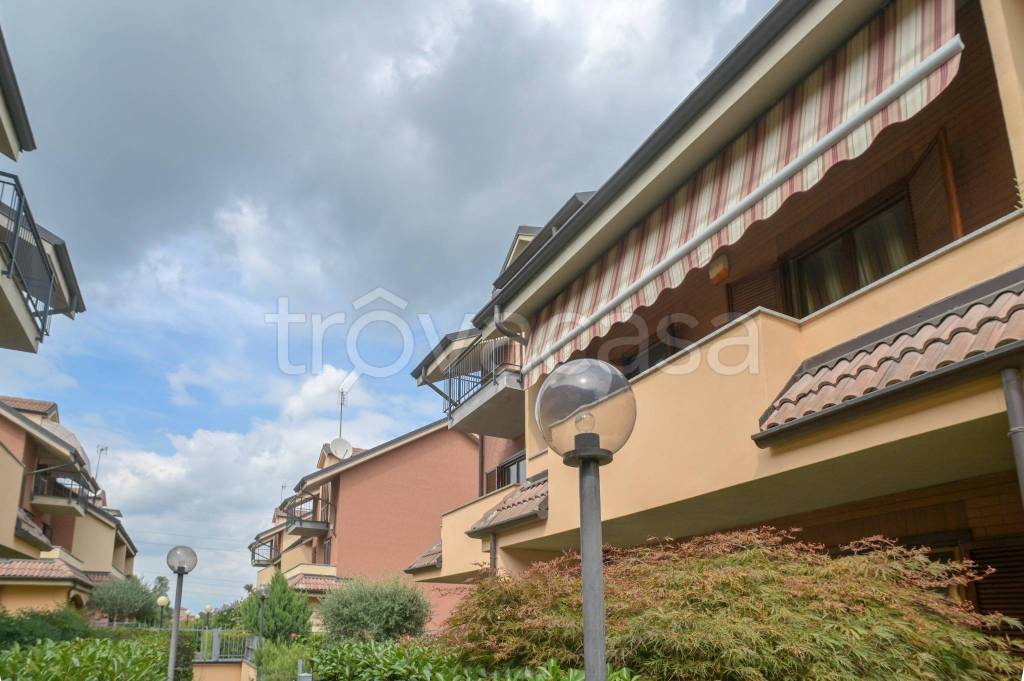 immagine annuncio 8 di 15