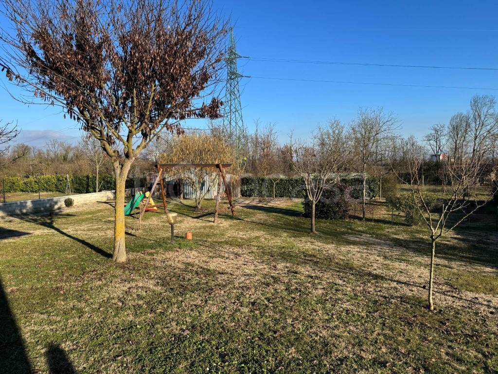 immagine annuncio 11 di 15