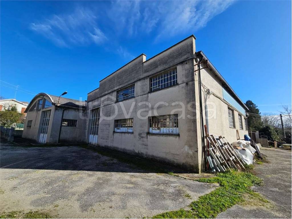 immagine annuncio 1 di 9