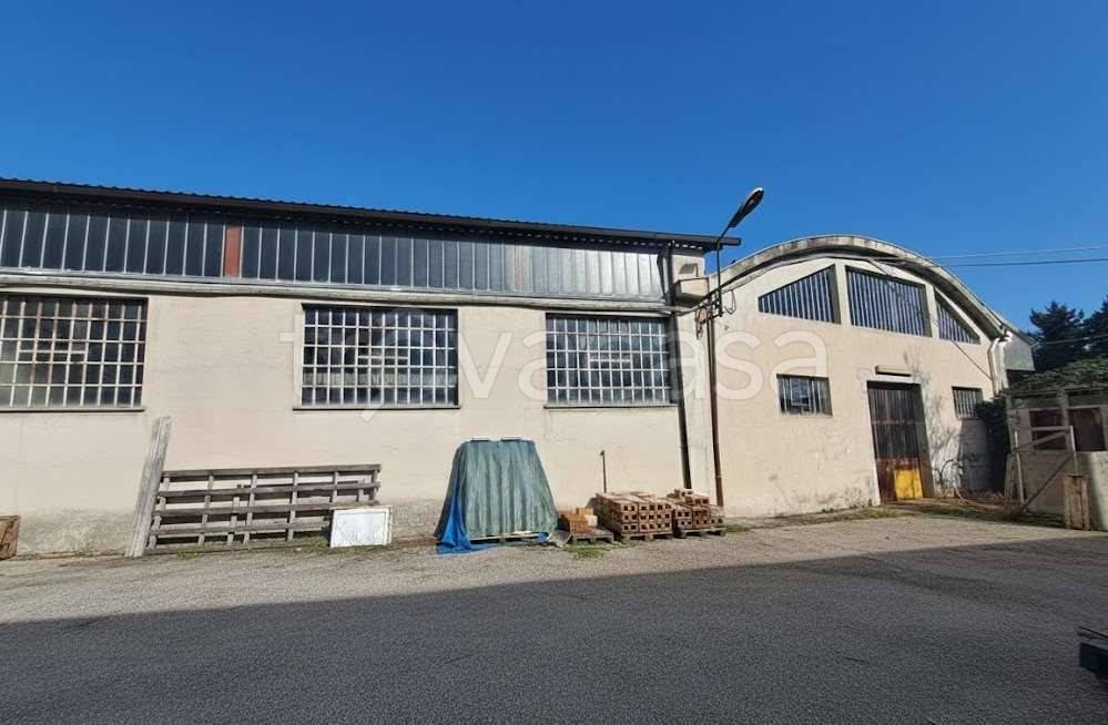 immagine annuncio 2 di 9