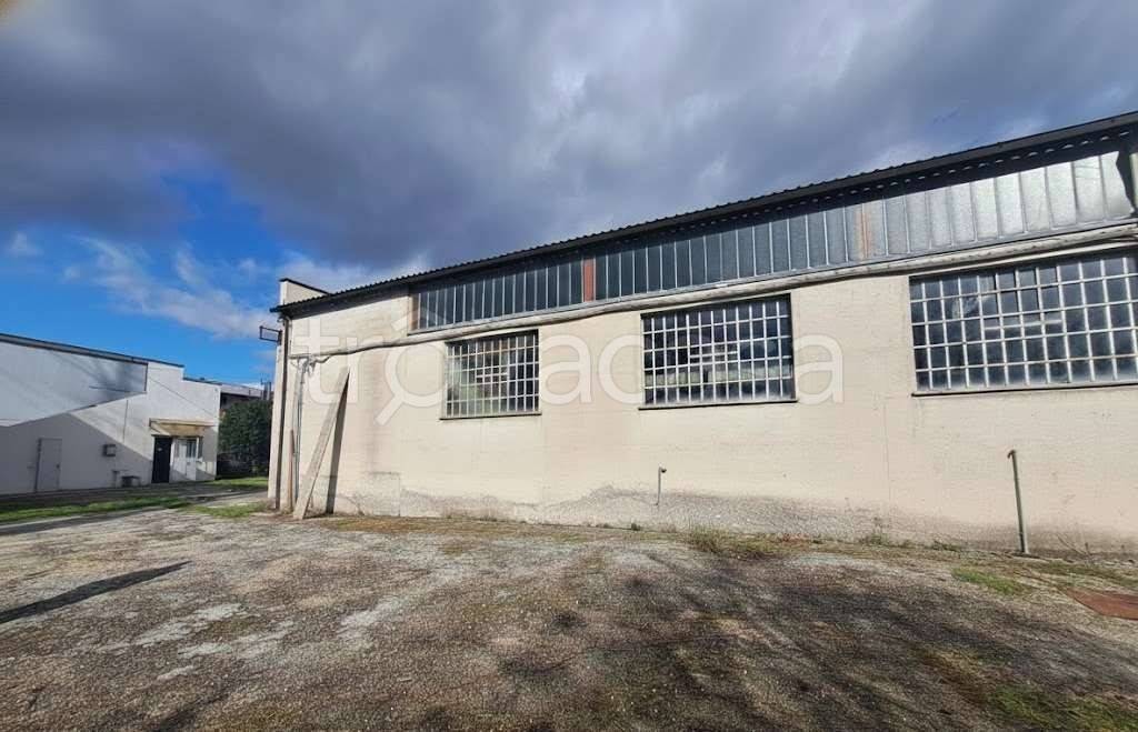 immagine annuncio 3 di 9