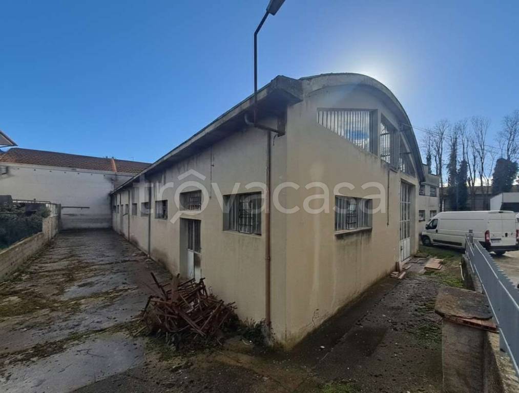 immagine annuncio 4 di 9