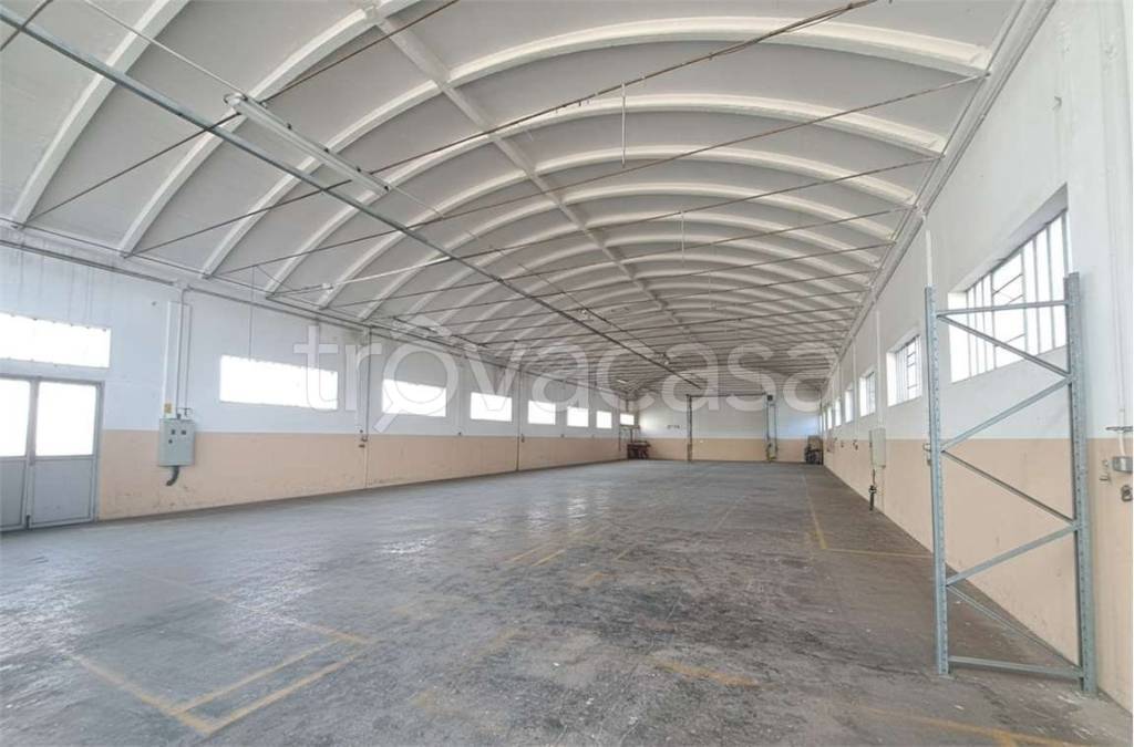 immagine annuncio 5 di 9