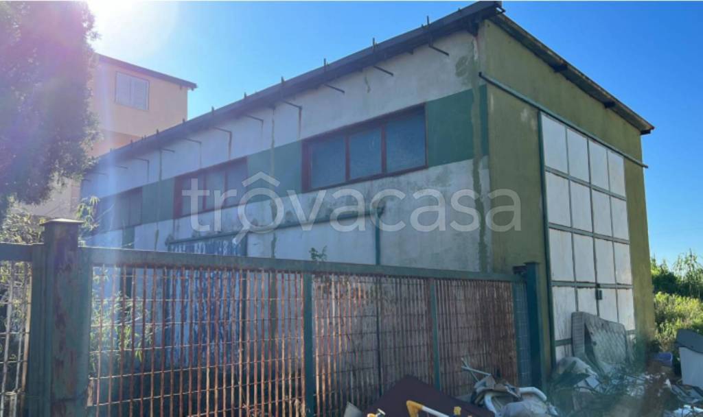 immagine annuncio 1 di 12