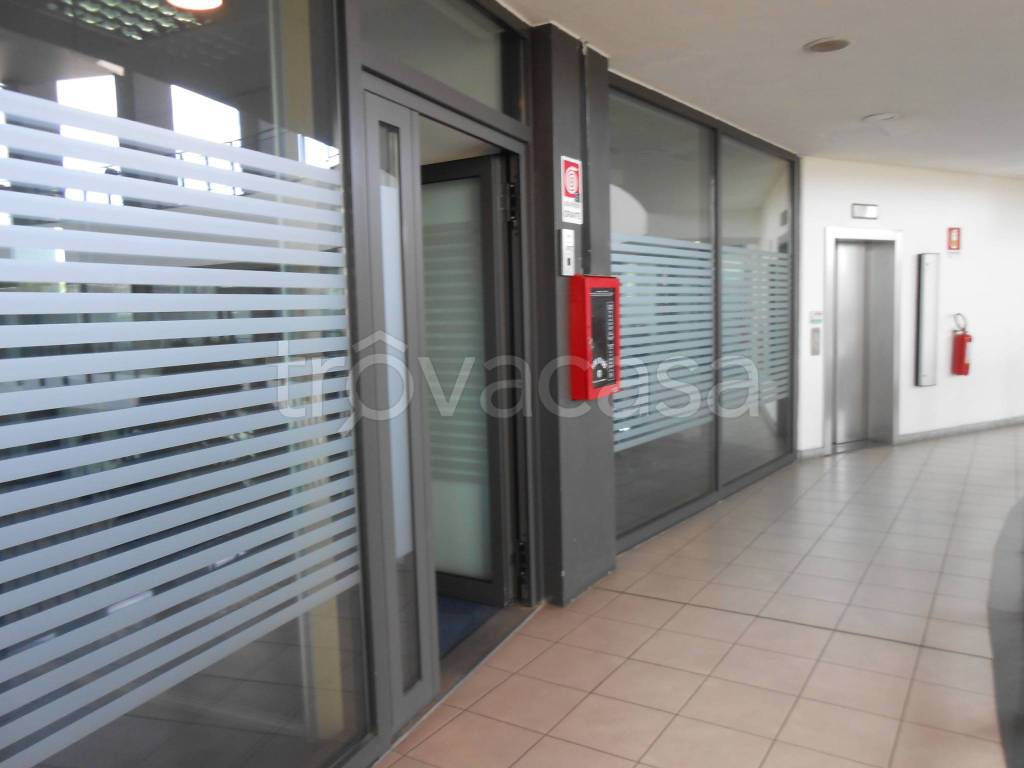 immagine annuncio 12 di 13