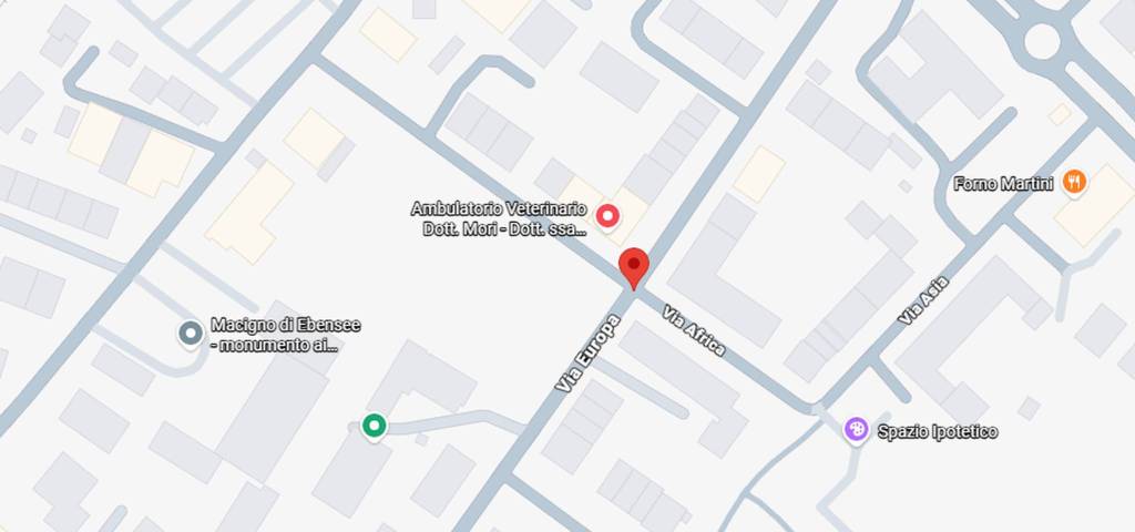 immagine annuncio 6 di 11