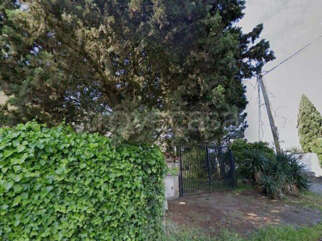 immagine annuncio 12 di 13