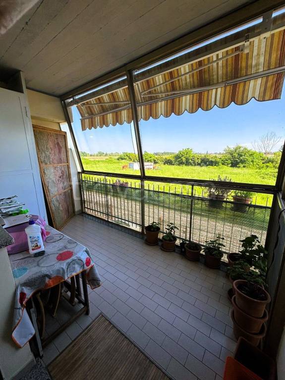 immagine annuncio 4 di 12