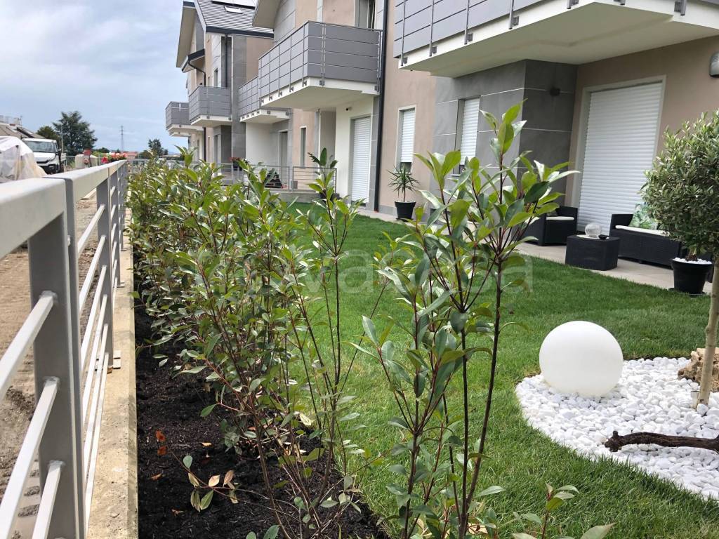 immagine annuncio 5 di 6