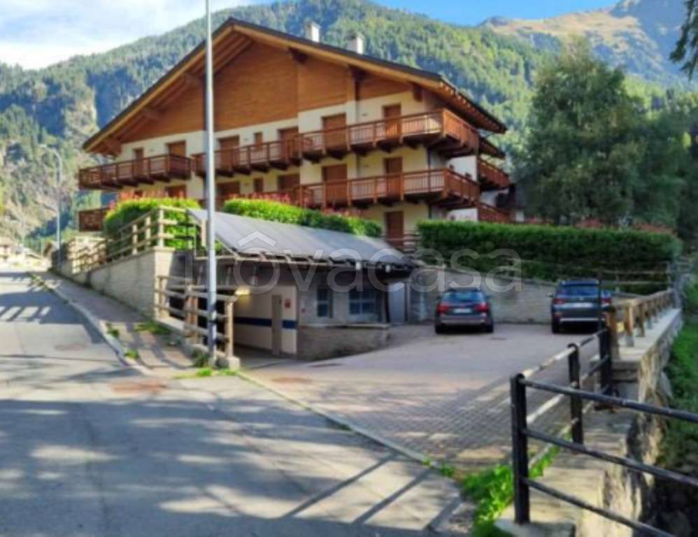 immagine annuncio 5 di 11