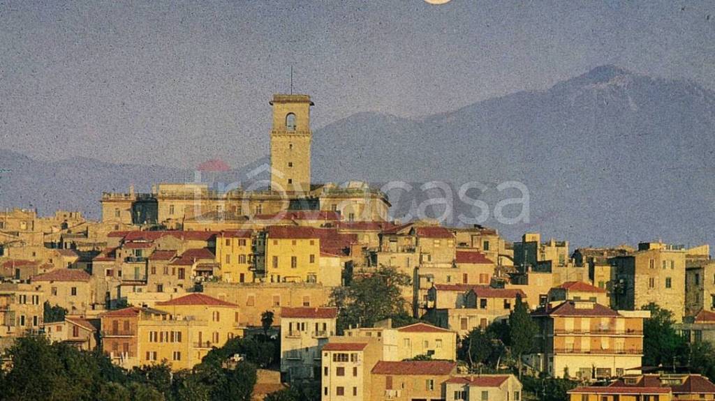 immagine annuncio 11 di 13