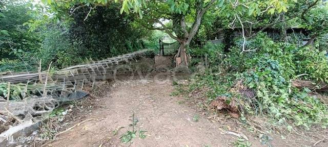 immagine annuncio 4 di 6