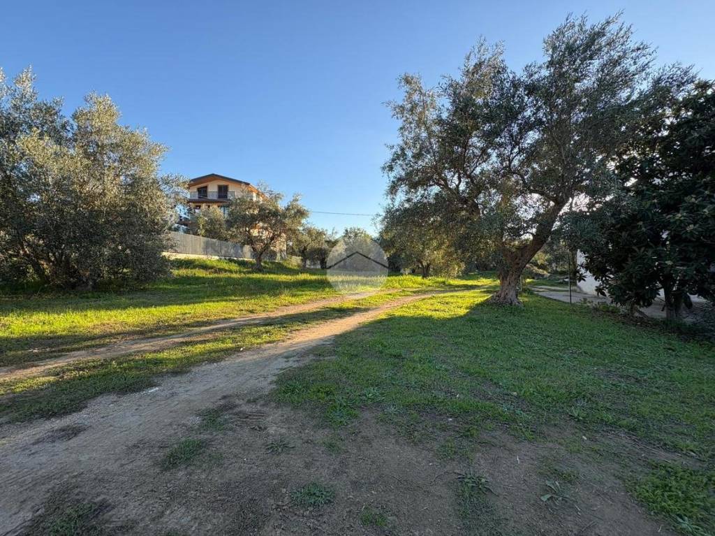 immagine annuncio 11 di 14