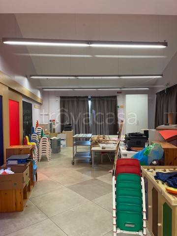 immagine annuncio 2 di 13