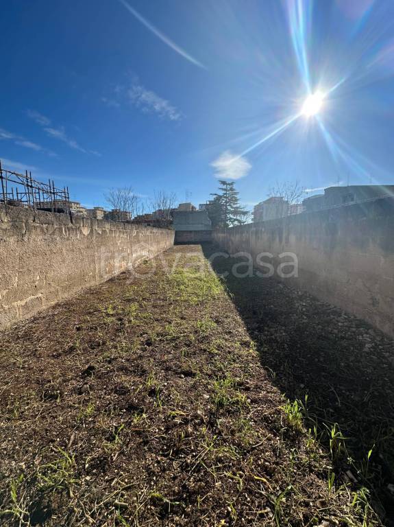 immagine annuncio 2 di 3