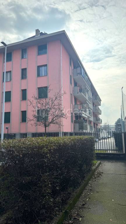 immagine annuncio 9 di 10