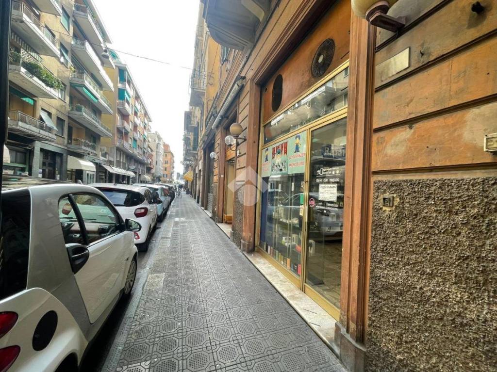 immagine annuncio 4 di 11