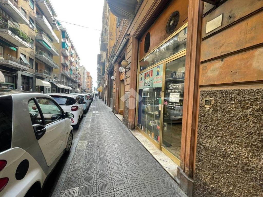 immagine annuncio 10 di 11